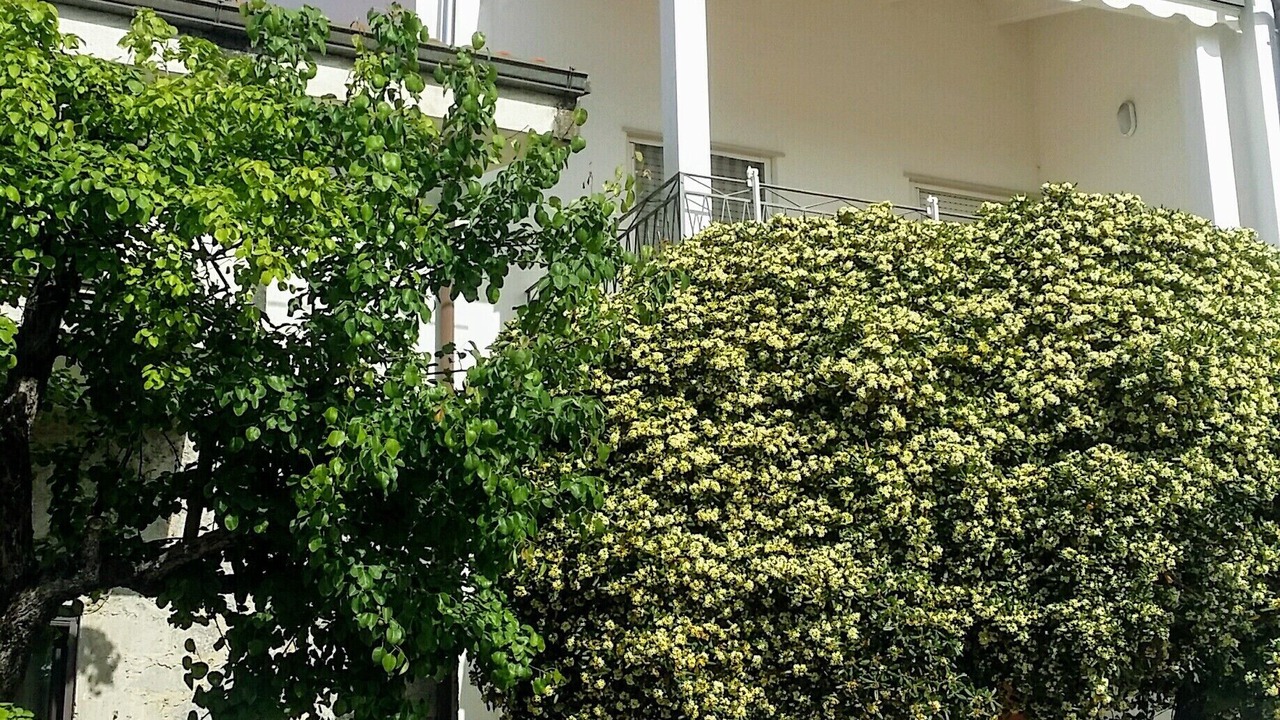Photo of Outdoor in Scario