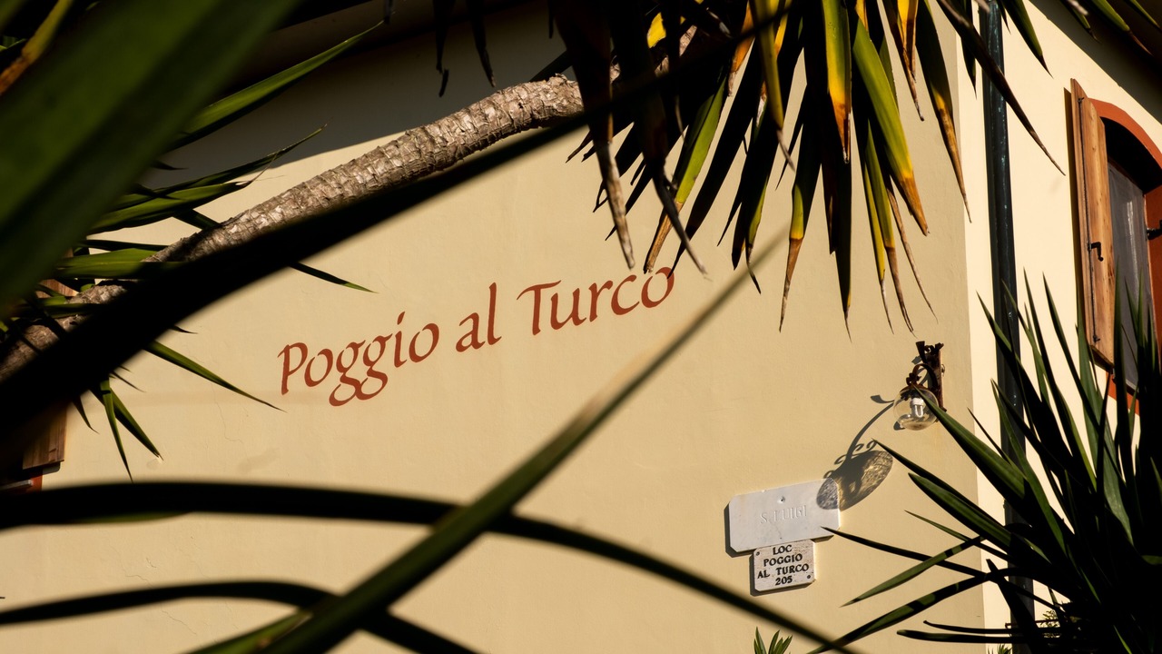 Photo of Outdoor in Suvereto