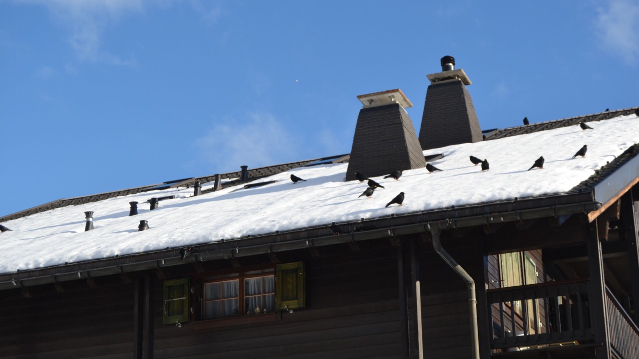 Photo of Outdoor in Champoussin