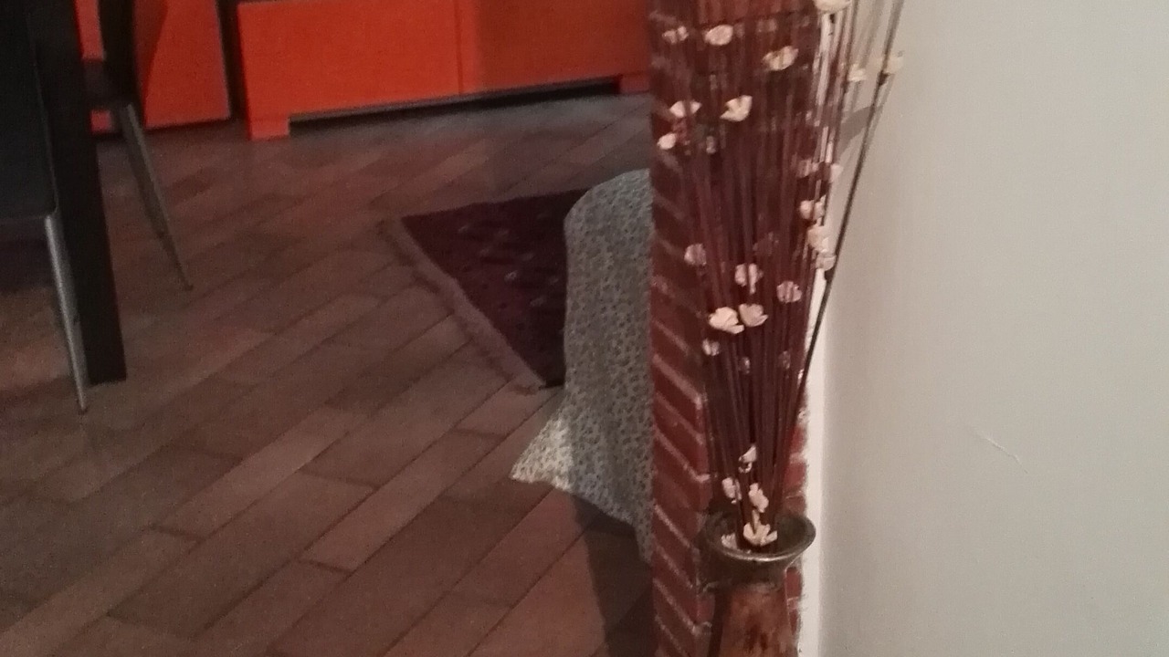 Photo of Livingroom in Prenestino-Centocelle