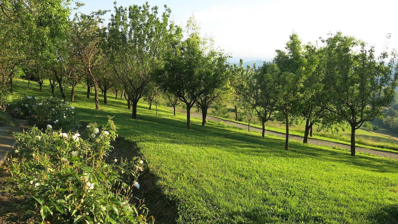 Photo of Outdoor in Murazzano