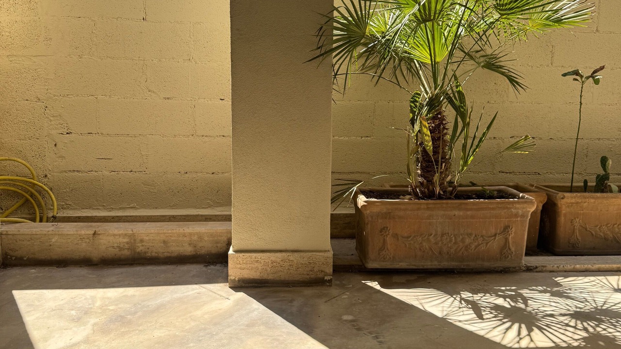 Photo of Outdoor in Municipio 3