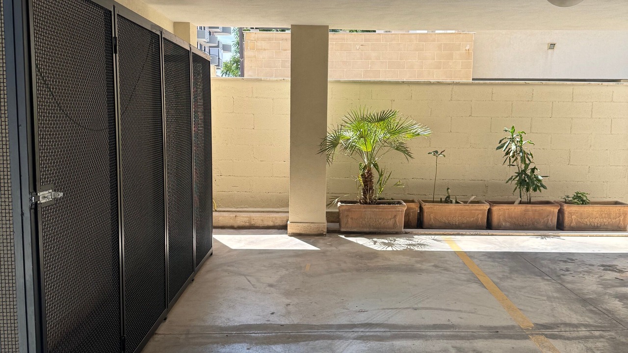 Photo of Outdoor in Municipio 3