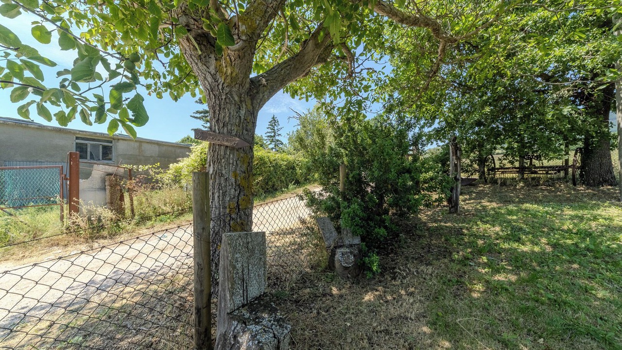 Photo of Outdoor in Frontino