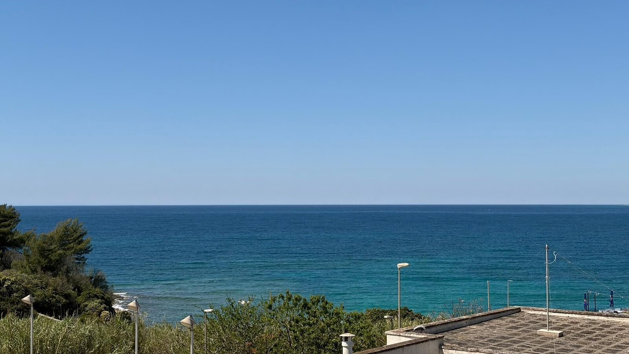 Photo of Others in Marina San Gregorio