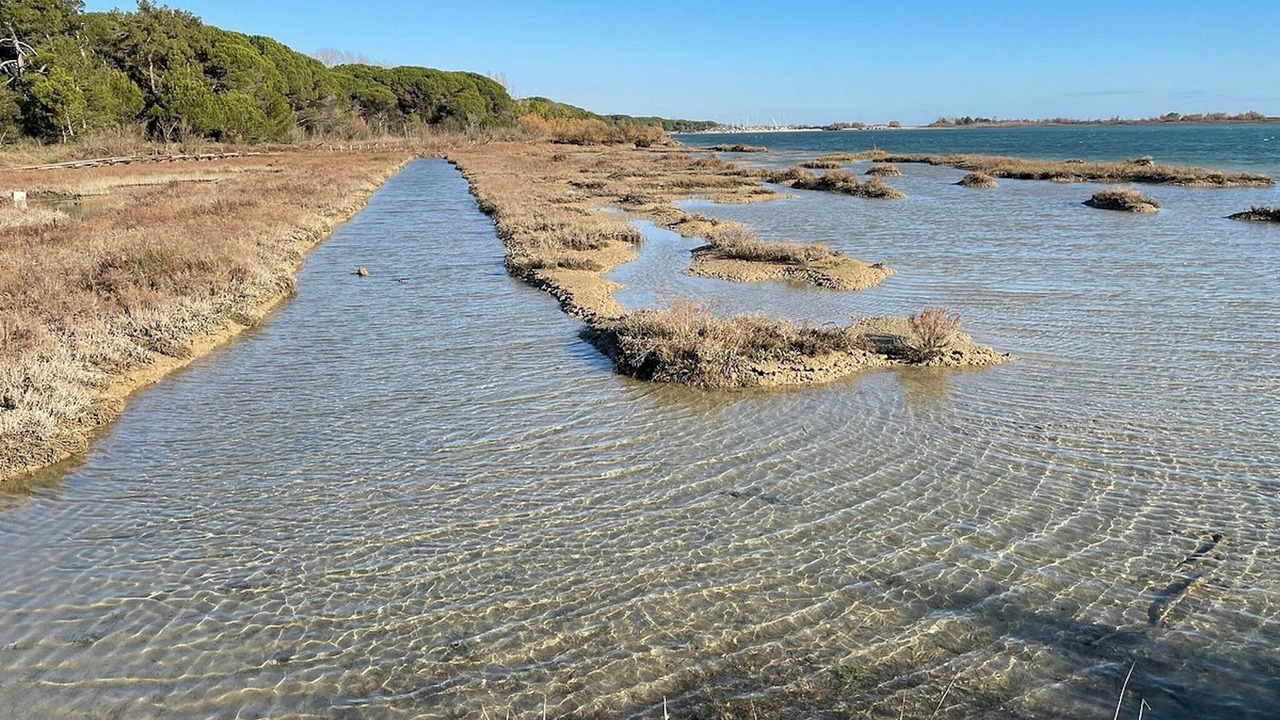 Photo of Others in Eraclea Mare