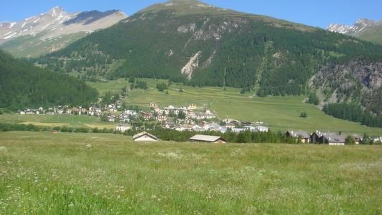 Photo of Others in La Punt-Chamues-ch