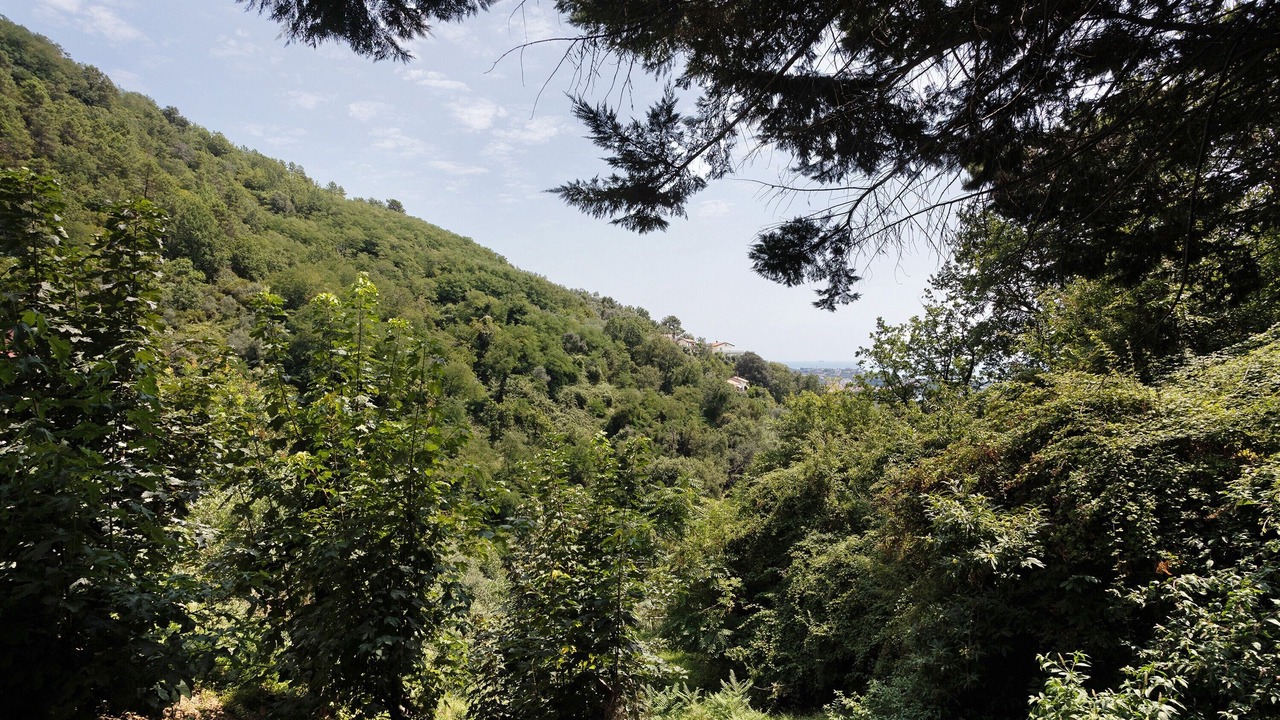 Photo of Others in Lerici