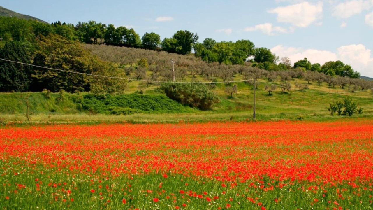 Photo of Outdoor in Rivotorto