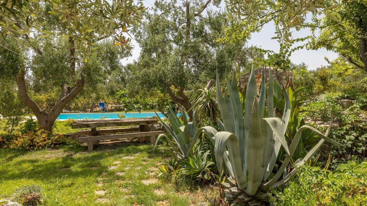 Photo of Outdoor in Specchiolla