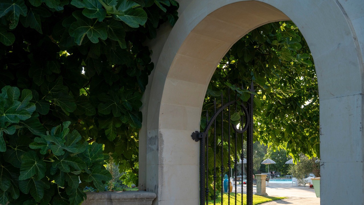 Photo of Outdoor in Calimera