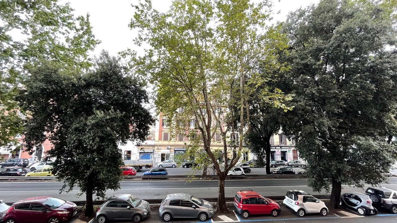Photo of Others in Garbatella