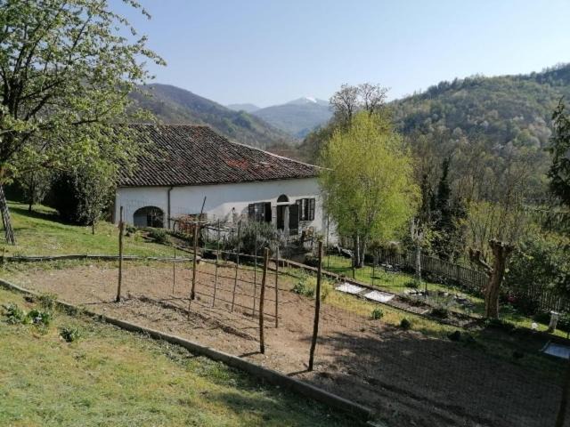 Photo of Others in Mombasiglio