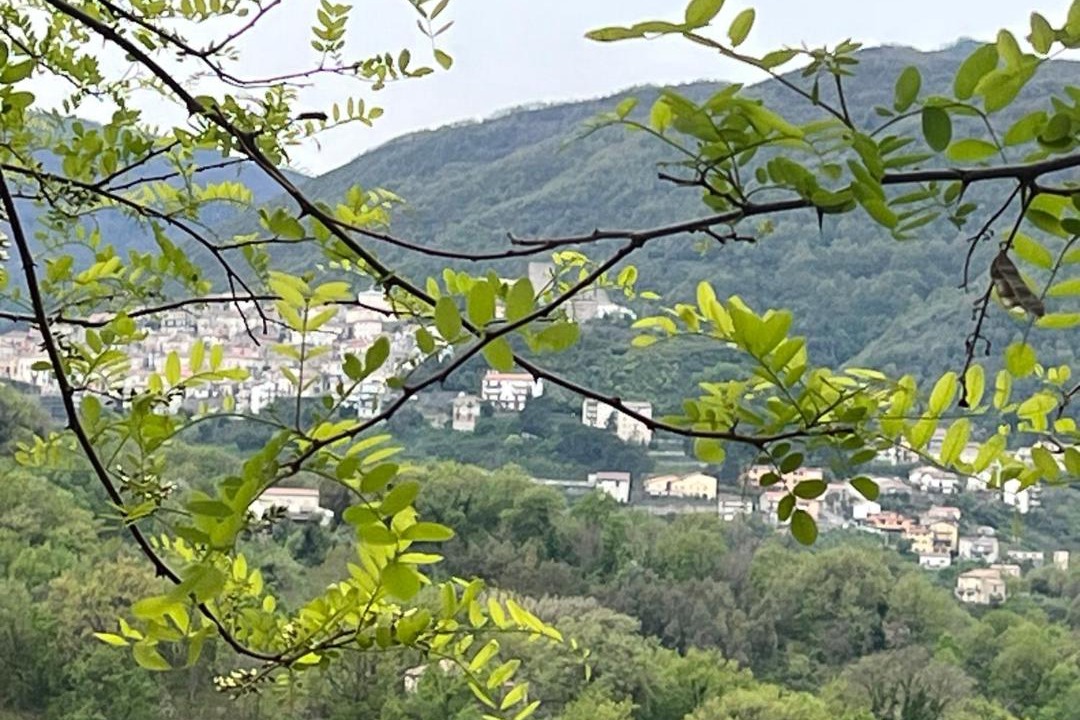 Photo of Others in Malvito