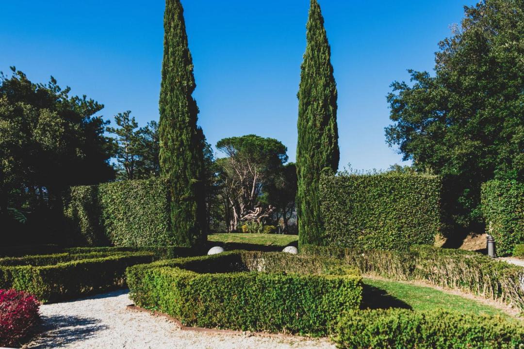 Photo of Others in Pieve a Nievole