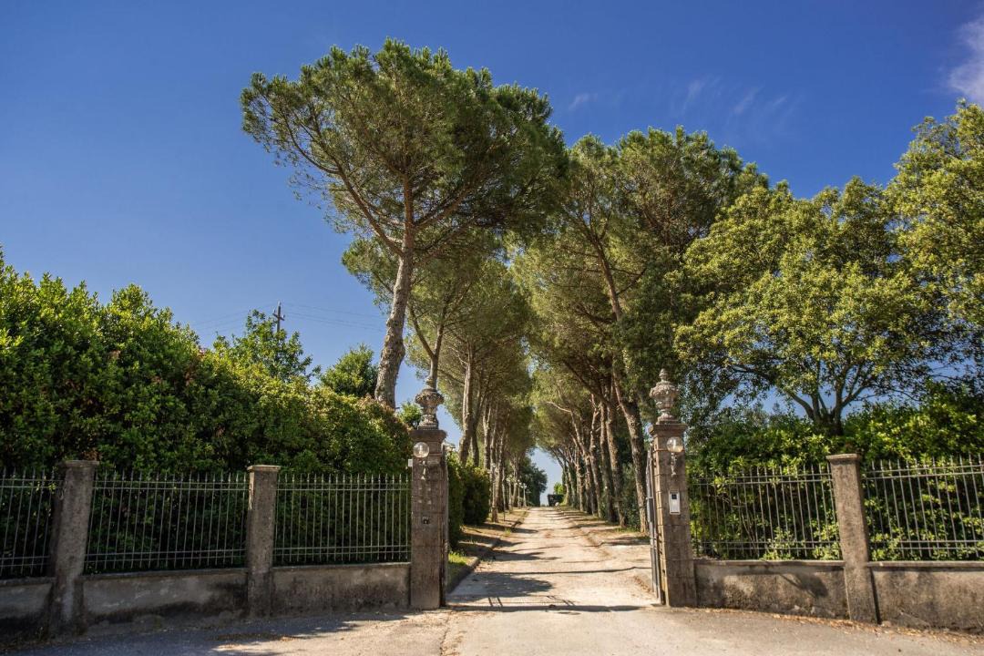 Photo of Others in Pieve a Nievole