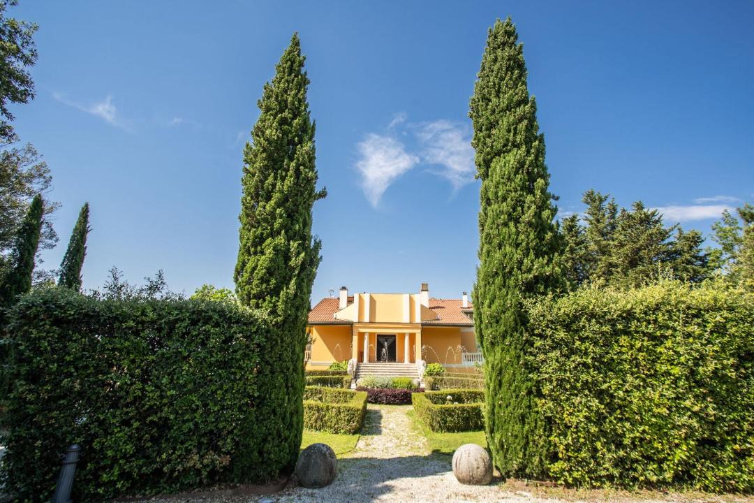 Photo of Others in Pieve a Nievole