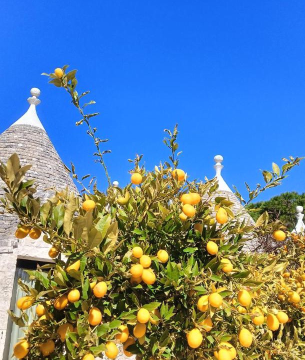 Photo of Others in Ostuni