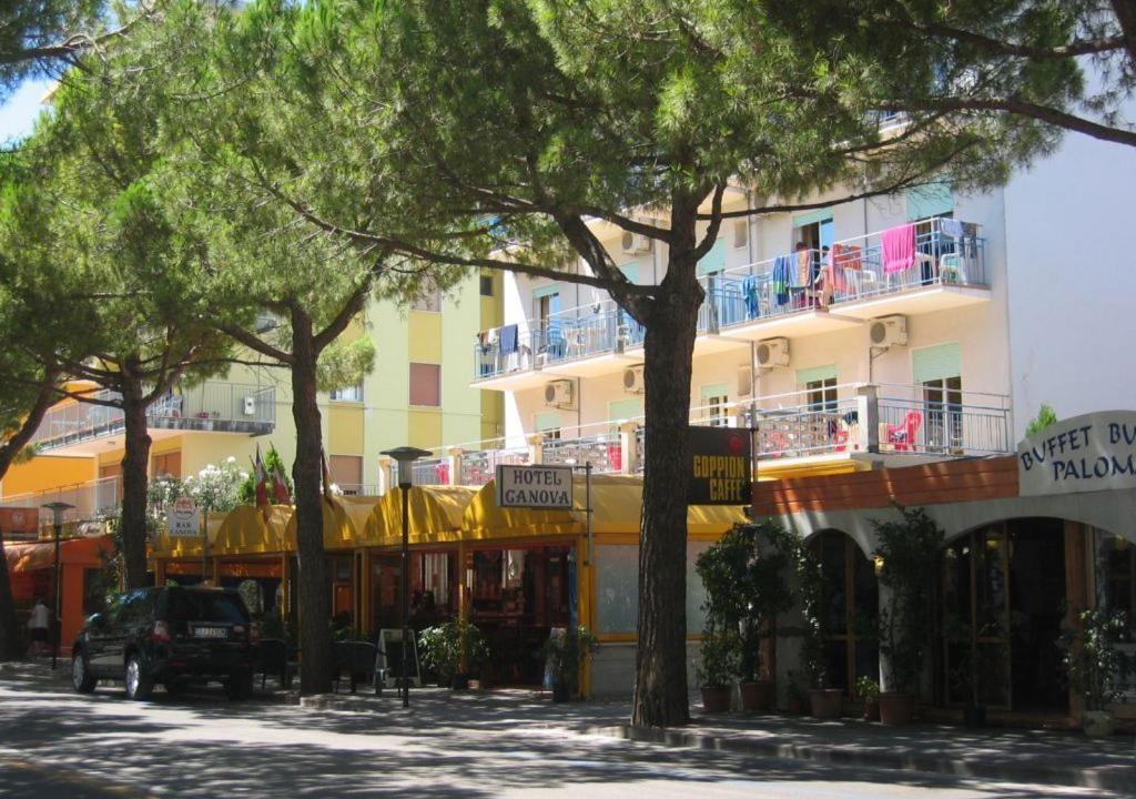 Photo of Others in Faro