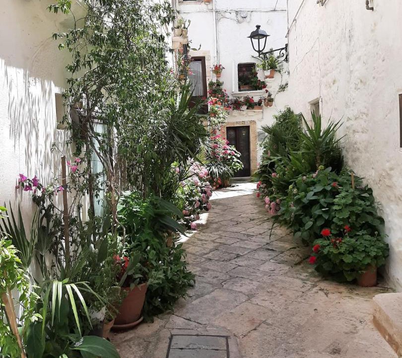 Photo of Others in Centro Storico