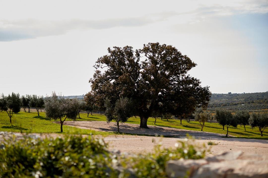 Photo of Others in Ostuni