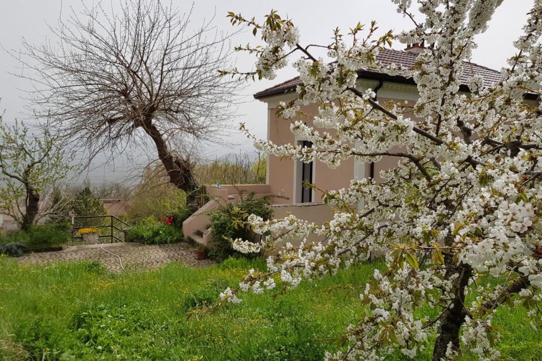 Photo of Others in Viggiano