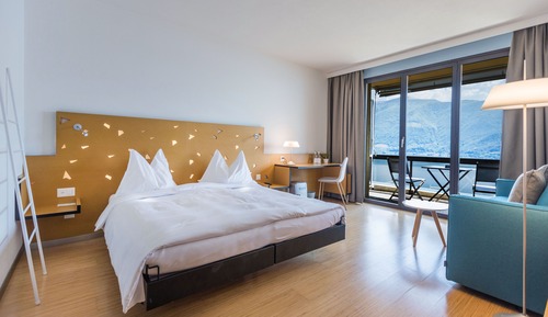 Large Premium Lake View Room