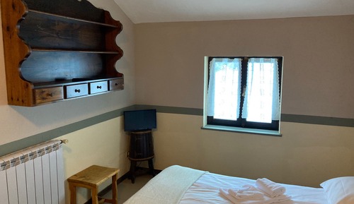 Double or Twin Room