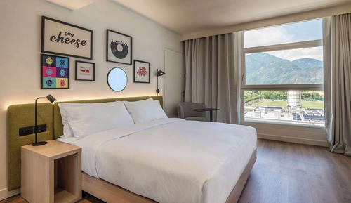 Room, 1 King Bed