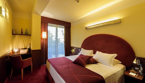 Double Room Single Use