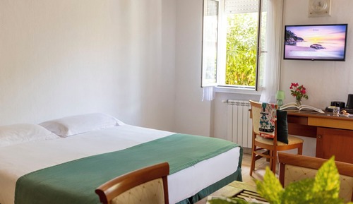 Basic Studio, Multiple Beds (Smart)