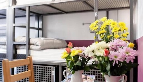 Shared Dormitory, Mixed Dorm, Ensuite (6 people)