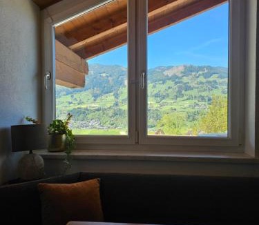 Holdernach Apartment | Zilleralps Fewo
