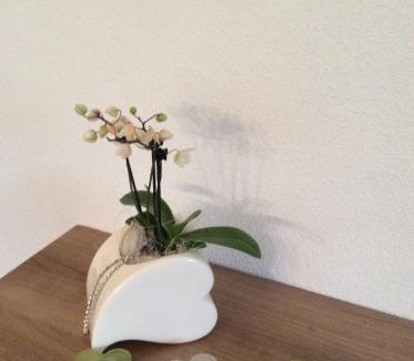 Hoarberg Apartment | Ferienwohnung Rahm